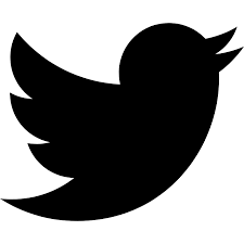X (Twitter) Profile